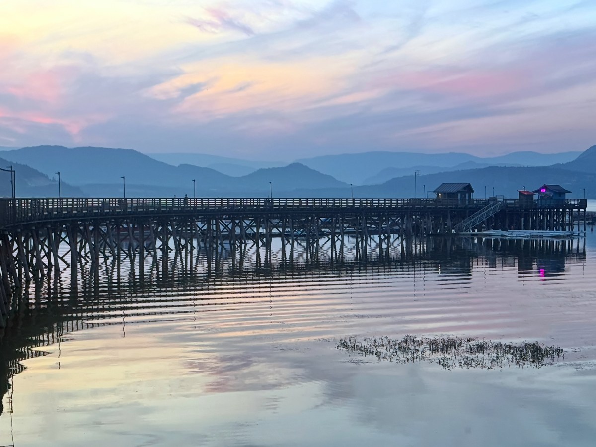 A Soft Landing in Salmon Arm – Our First Housesitting&nbsp;Adventure