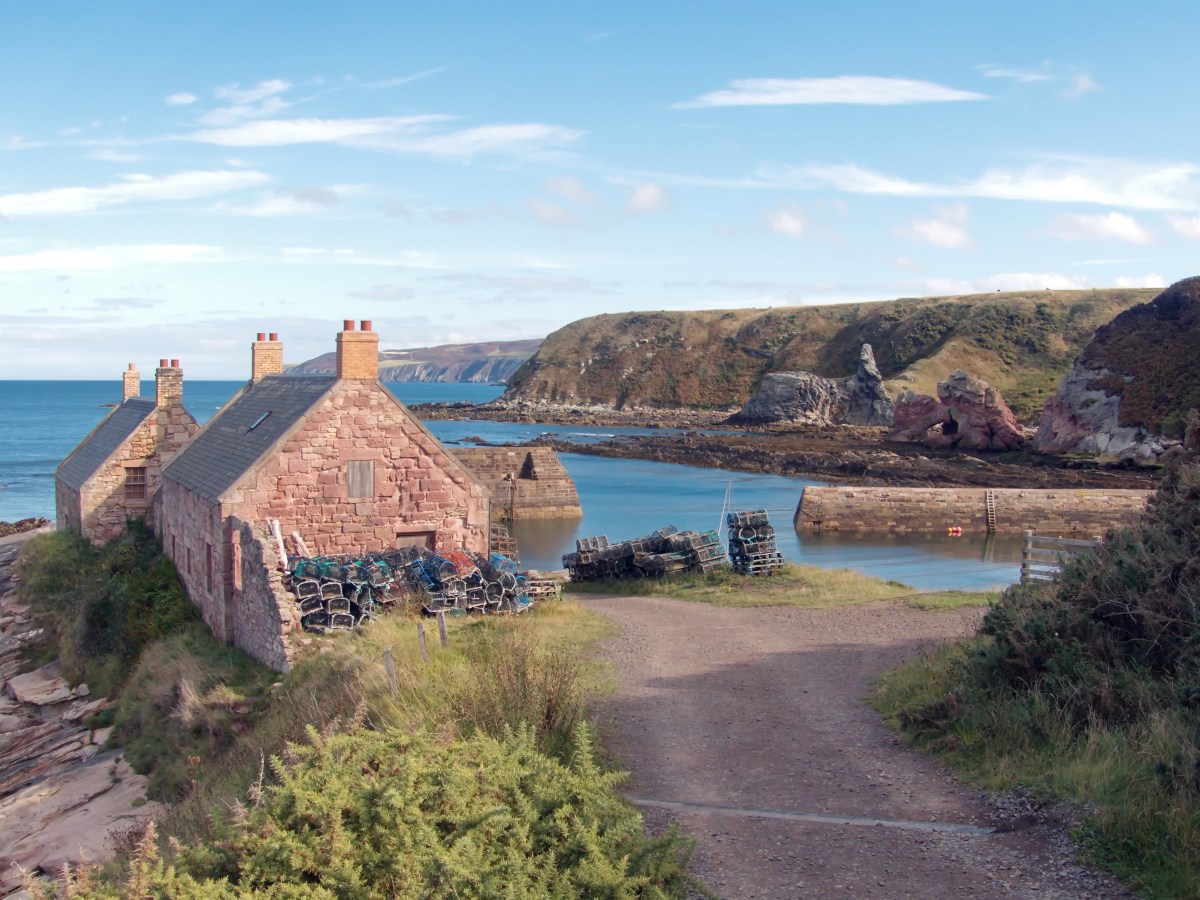 Cove Harbour: Stepping Back in&nbsp;Time